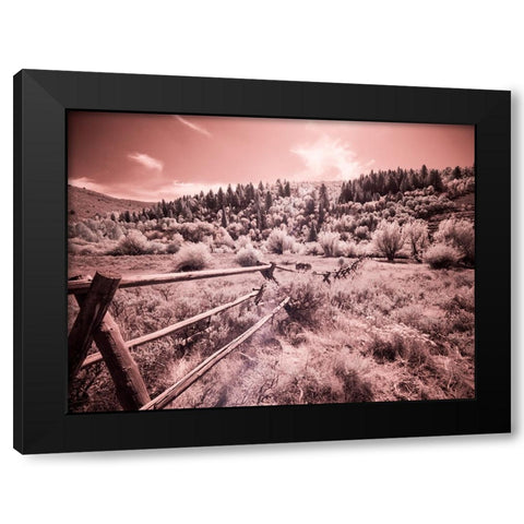USA-Utah-Infrared of the Logan Pass area with long rail fence Black Modern Wood Framed Art Print with Double Matting by Eggers, Terry