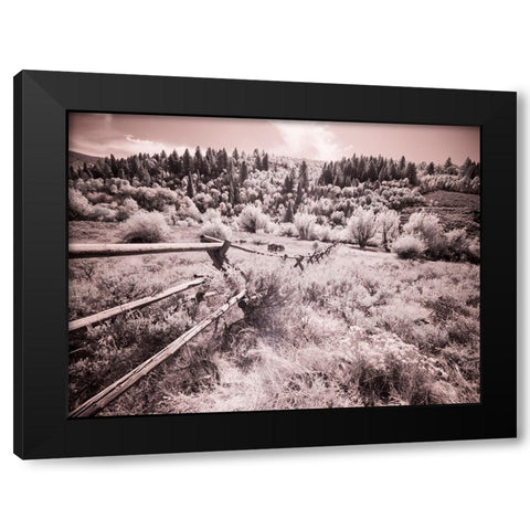 USA-Utah-Infrared of the Logan Pass area with long rail fence Black Modern Wood Framed Art Print with Double Matting by Eggers, Terry