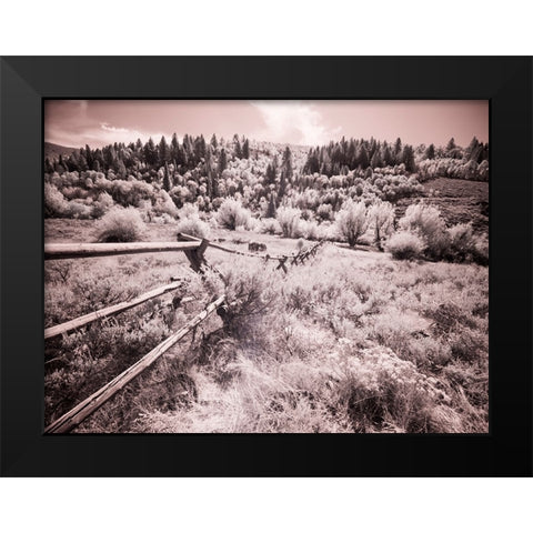 USA-Utah-Infrared of the Logan Pass area with long rail fence Black Modern Wood Framed Art Print by Eggers, Terry