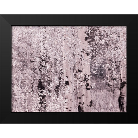 USA-Utah-Aspen Grove in infrared of the Logan Pass area Black Modern Wood Framed Art Print by Eggers, Terry