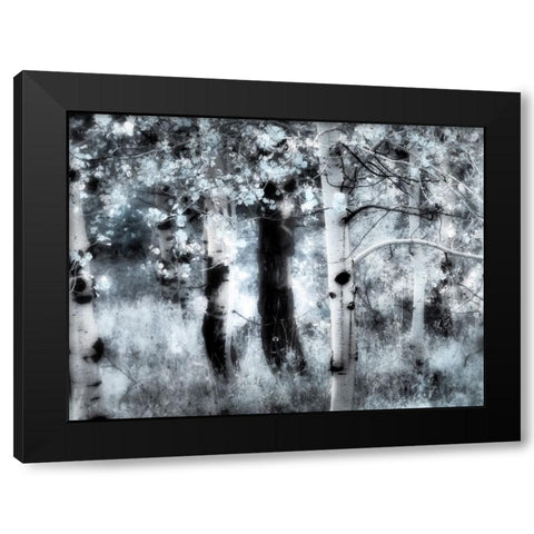 USA-Utah-Aspen Grove in infrared of the Logan Pass area Black Modern Wood Framed Art Print by Eggers, Terry