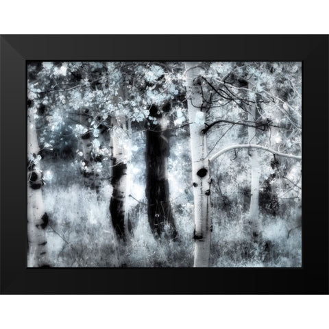 USA-Utah-Aspen Grove in infrared of the Logan Pass area Black Modern Wood Framed Art Print by Eggers, Terry