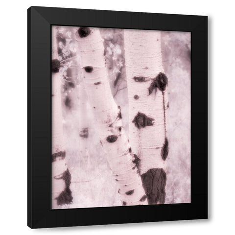 USA-Utah-Aspen Grove in infrared of the Logan Pass area Black Modern Wood Framed Art Print with Double Matting by Eggers, Terry