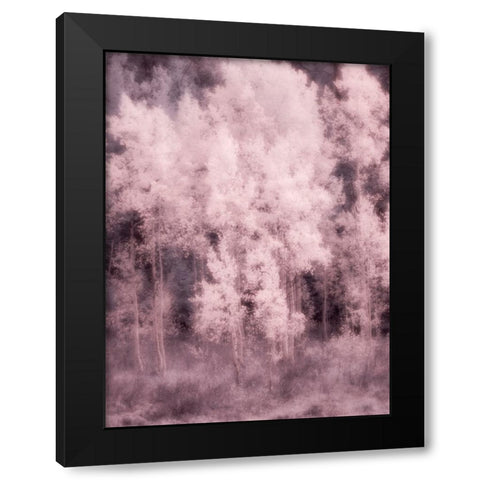 USA-Utah-Aspen Grove in infrared of the Logan Pass area Black Modern Wood Framed Art Print by Eggers, Terry