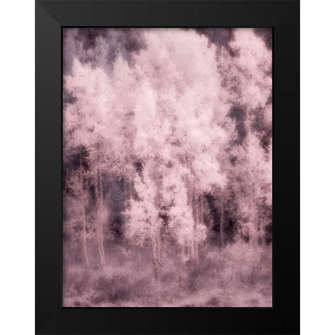 USA-Utah-Aspen Grove in infrared of the Logan Pass area Black Modern Wood Framed Art Print by Eggers, Terry