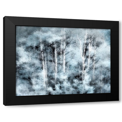 USA-Utah-Aspen Grove in infrared of the Logan Pass area Black Modern Wood Framed Art Print by Eggers, Terry
