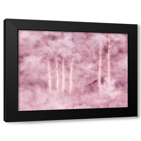 USA-Utah-Aspen Grove in infrared of the Logan Pass area Black Modern Wood Framed Art Print by Eggers, Terry