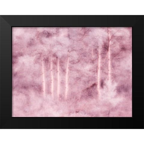 USA-Utah-Aspen Grove in infrared of the Logan Pass area Black Modern Wood Framed Art Print by Eggers, Terry