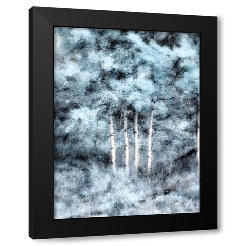 USA-Utah-Aspen Grove in infrared of the Logan Pass area Black Modern Wood Framed Art Print with Double Matting by Eggers, Terry