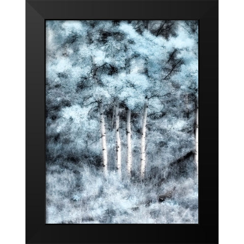 USA-Utah-Aspen Grove in infrared of the Logan Pass area Black Modern Wood Framed Art Print by Eggers, Terry
