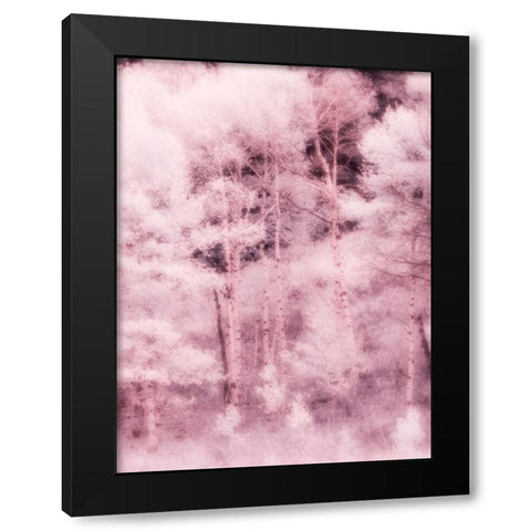 USA-Utah-Aspen Grove in infrared of the Logan Pass area Black Modern Wood Framed Art Print by Eggers, Terry