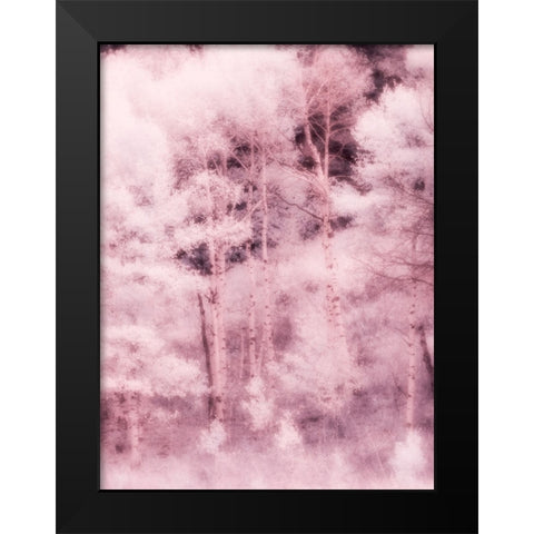 USA-Utah-Aspen Grove in infrared of the Logan Pass area Black Modern Wood Framed Art Print by Eggers, Terry