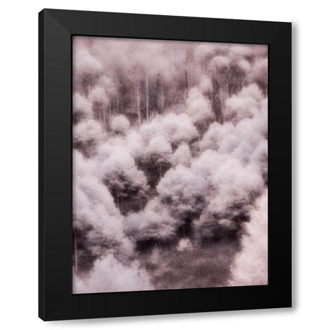 USA-Utah-Aspen Grove in infrared of the Logan Pass area Black Modern Wood Framed Art Print with Double Matting by Eggers, Terry