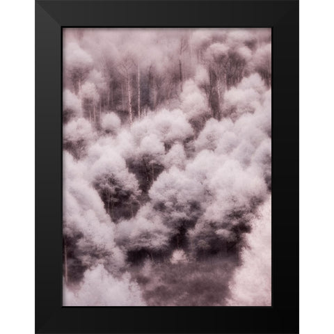 USA-Utah-Aspen Grove in infrared of the Logan Pass area Black Modern Wood Framed Art Print by Eggers, Terry