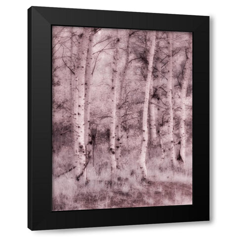 USA-Utah-Aspen Grove in infrared of the Logan Pass area Black Modern Wood Framed Art Print by Eggers, Terry
