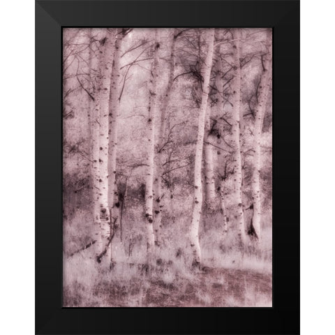 USA-Utah-Aspen Grove in infrared of the Logan Pass area Black Modern Wood Framed Art Print by Eggers, Terry