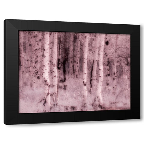 USA-Utah-Aspen Grove in infrared of the Logan Pass area Black Modern Wood Framed Art Print with Double Matting by Eggers, Terry
