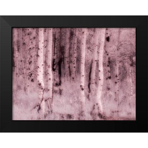 USA-Utah-Aspen Grove in infrared of the Logan Pass area Black Modern Wood Framed Art Print by Eggers, Terry
