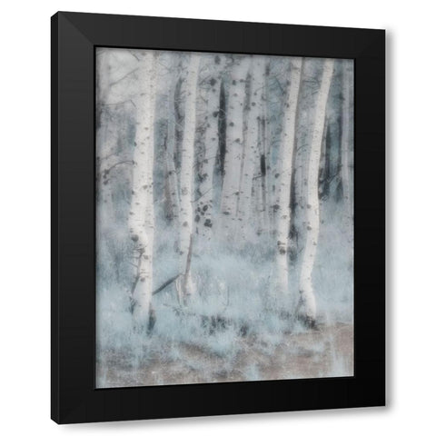 USA-Utah-Aspen Grove in infrared of the Logan Pass area Black Modern Wood Framed Art Print by Eggers, Terry