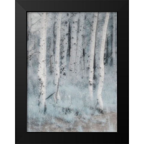 USA-Utah-Aspen Grove in infrared of the Logan Pass area Black Modern Wood Framed Art Print by Eggers, Terry