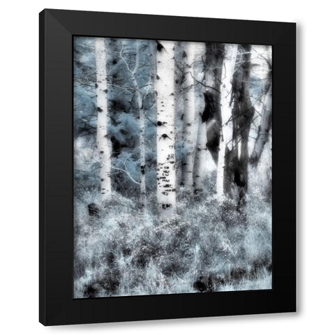 USA-Utah-Aspen Grove in infrared of the Logan Pass area Black Modern Wood Framed Art Print with Double Matting by Eggers, Terry