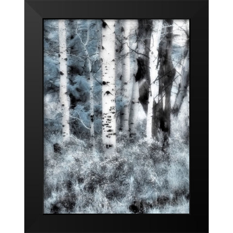 USA-Utah-Aspen Grove in infrared of the Logan Pass area Black Modern Wood Framed Art Print by Eggers, Terry