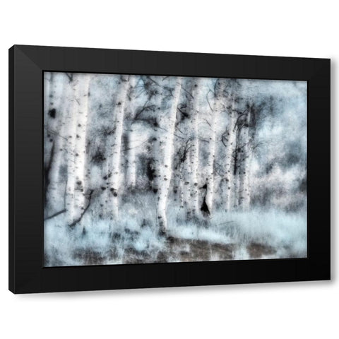 USA-Utah-Aspen Grove in infrared of the Logan Pass area Black Modern Wood Framed Art Print by Eggers, Terry