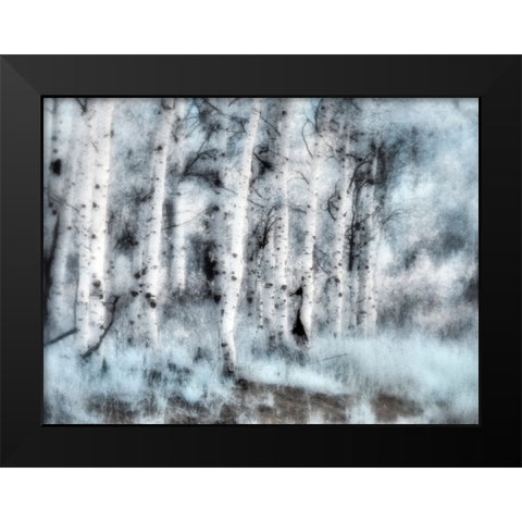 USA-Utah-Aspen Grove in infrared of the Logan Pass area Black Modern Wood Framed Art Print by Eggers, Terry