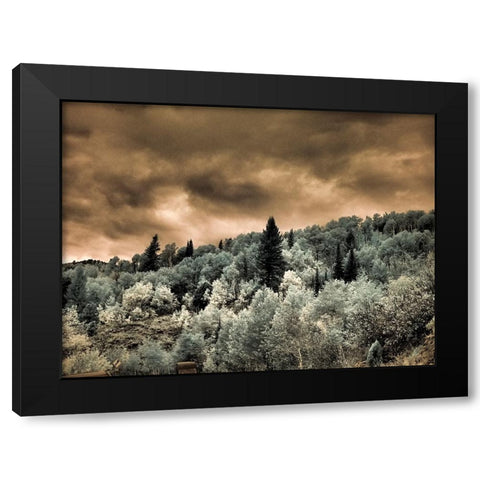 USA-Utah-Aspen Grove in infrared of the Logan Pass area Black Modern Wood Framed Art Print with Double Matting by Eggers, Terry