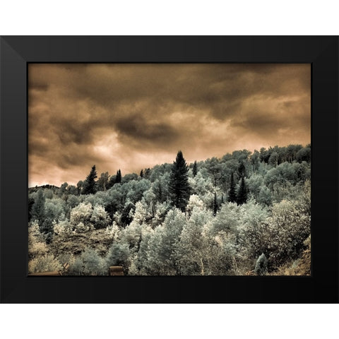 USA-Utah-Aspen Grove in infrared of the Logan Pass area Black Modern Wood Framed Art Print by Eggers, Terry