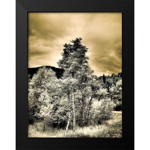 USA-Utah-Aspen Grove in infrared of the Logan Pass area Black Modern Wood Framed Art Print by Eggers, Terry