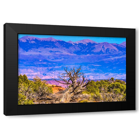 Old wood branch- Abajo Mountains- Canyonlands National Park- Moab- Utah. Black Modern Wood Framed Art Print with Double Matting by Perry, William