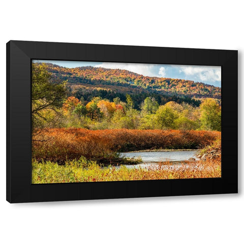 USA-Vermont-Stowe Fall foliage along Little River Black Modern Wood Framed Art Print by Jones, Allison