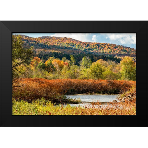 USA-Vermont-Stowe Fall foliage along Little River Black Modern Wood Framed Art Print by Jones, Allison