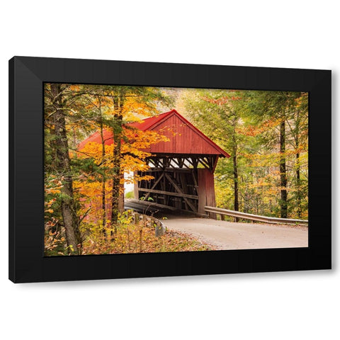USA-Vermont-Stowe-Sterling Valley Road covered bridge in fall foliage Black Modern Wood Framed Art Print with Double Matting by Jones, Allison