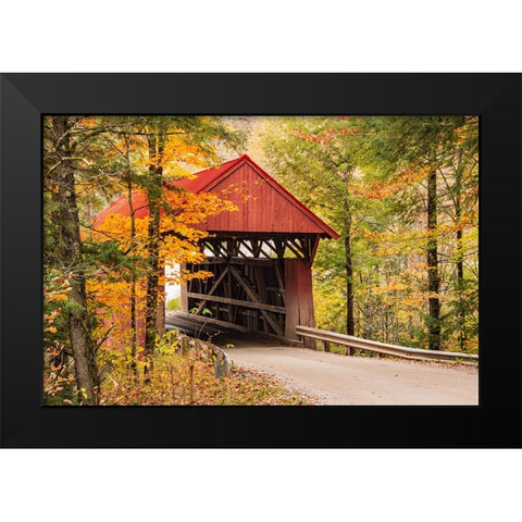 USA-Vermont-Stowe-Sterling Valley Road covered bridge in fall foliage Black Modern Wood Framed Art Print by Jones, Allison