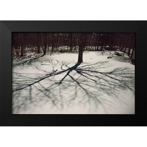 USA-Vermont-Morrisville-moon shadow of ash tree on snow-covered lawn Black Modern Wood Framed Art Print by Jones, Allison