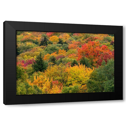 USA-Vermont-New England-Stowe Mt Mansfield parking lot view Black Modern Wood Framed Art Print with Double Matting by Jones, Allison