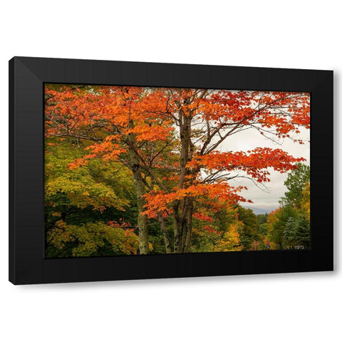 USA-Vermont-New England-Stowe Mt Mansfield parking lot view Black Modern Wood Framed Art Print with Double Matting by Jones, Allison