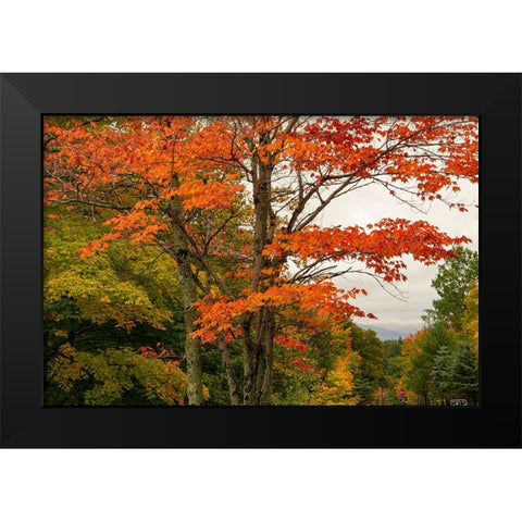 USA-Vermont-New England-Stowe Mt Mansfield parking lot view Black Modern Wood Framed Art Print by Jones, Allison
