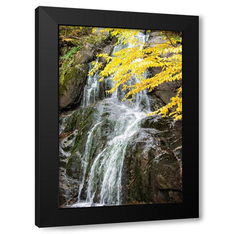 USA-Vermont-Fall foliage in Mad River Valley along trail to Warren Falls Black Modern Wood Framed Art Print with Double Matting by Jones, Allison