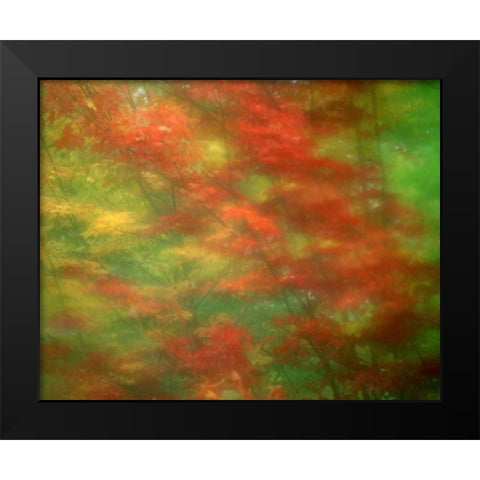 Vermont Abstract of maple trees Black Modern Wood Framed Art Print by Zuckerman, Jim