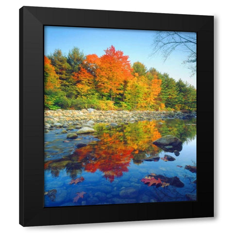 Vermont, Autumn reflecting in a stream Black Modern Wood Framed Art Print with Double Matting by Talbot Frank, Christopher