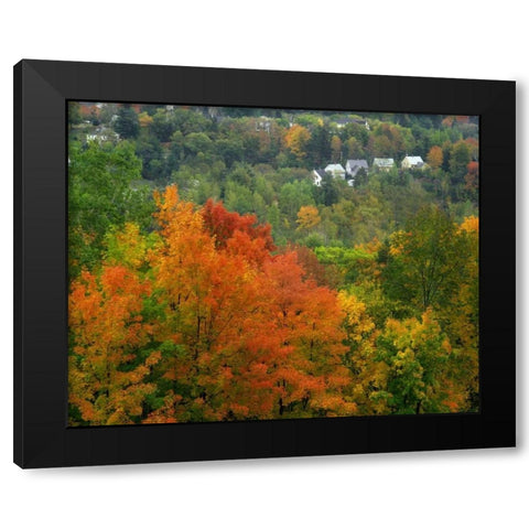 Vermont, St Johnsbury Hillside Trees and homes Black Modern Wood Framed Art Print with Double Matting by Terrill, Steve
