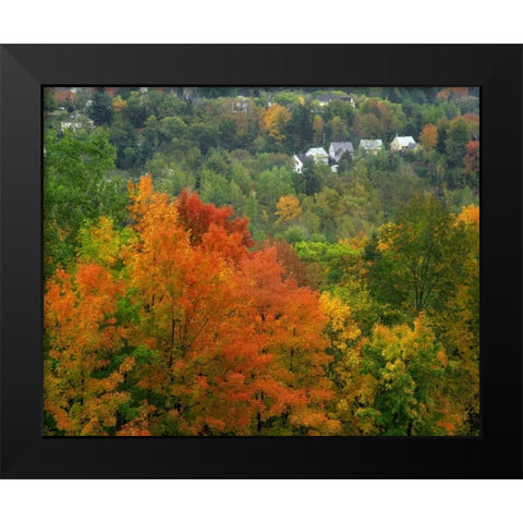 Vermont, St Johnsbury Hillside Trees and homes Black Modern Wood Framed Art Print by Terrill, Steve