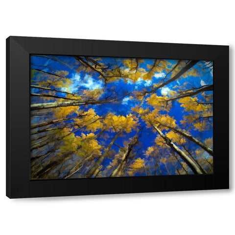 Vermont Abstract of looking up at trees with autumn foliage Black Modern Wood Framed Art Print with Double Matting by Jaynes Gallery
