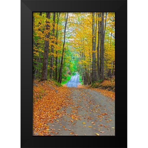 USA-New England-Vermont tree-lined roadway in Autumns Fall colors Black Modern Wood Framed Art Print by Gulin, Sylvia