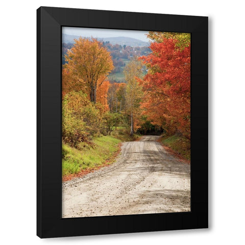 USA-New England-Vermont tree-lined roadway in Autumns Fall colors Black Modern Wood Framed Art Print by Gulin, Sylvia
