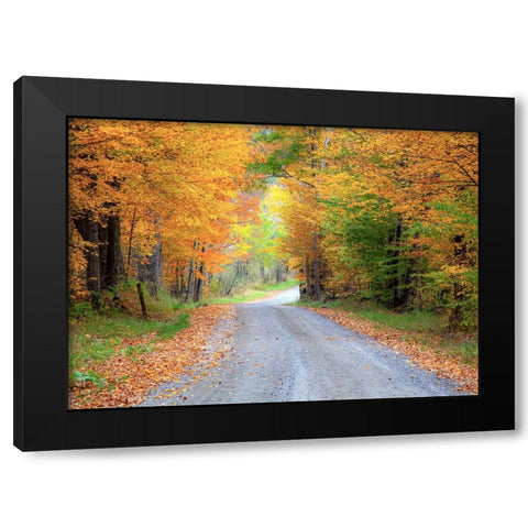 USA-New England-Vermont tree-lined roadway in Autumns Fall colors Black Modern Wood Framed Art Print with Double Matting by Gulin, Sylvia
