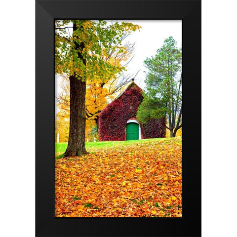 USA-New England-Vermont old brick building covered with ivy in Fall color Black Modern Wood Framed Art Print by Gulin, Sylvia